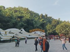 -西双版纳原始森林公园