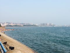 -栈桥景区