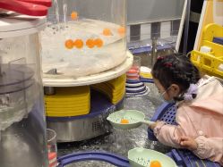 -奈尔宝家庭中心·亲子餐厅(鄞州万达店)