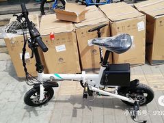 -道路口单车爱瓦士dahon大行