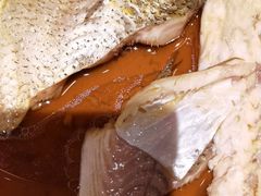 -丹江渔村(望京店)