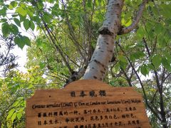 -东方假日田园-停车场