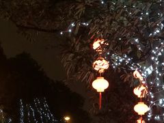 -上海浦东星河湾酒店
