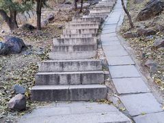 -北京十三陵国家森林公园蟒山景区