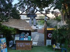 -HERRE·FARM 赫尔露营农场·团建聚会包场