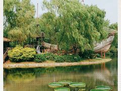 -上海辰山植物园