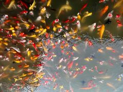 -泰安地下龙宫景区