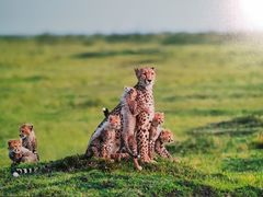 -罗红摄影艺术馆