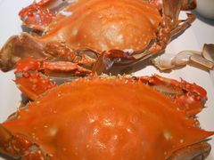 -小螺号海鲜·地道鲁菜(泉城广场店)