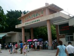 -广东茂名森林公园