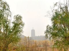 -永定河休闲森林公园