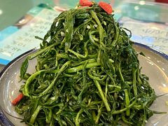 清香枸杞苗-国强手抓(西夏区店)