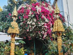 -品德宏·孔雀宴的发源地(金塔园店)