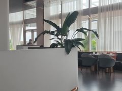大堂-IL Forno 意坊·意大利餐厅(温州万象城店)