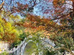 -深圳仙湖植物园