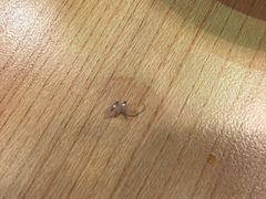 -口福汤包馆(融汇店)