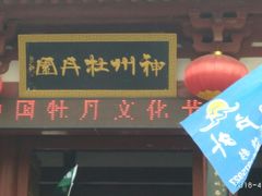-神州牡丹园