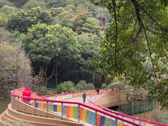 -云溪植物园