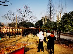 -杭州六谷生态休闲农庄有限公司