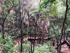 -大岭沟猕猴桃谷风景区