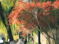 -香积寺