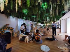 -Husky Go! 哈士奇体验馆·宠物咖啡厅狗咖