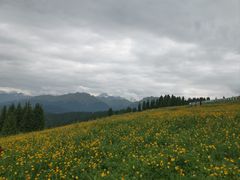 -新疆国际大巴扎