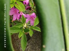 -乌山风景区
