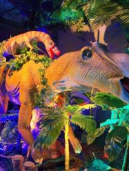 -恐龙探索乐园(磁器口店)