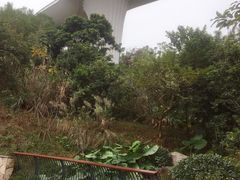 -飞凤山奥体公园