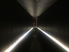 -wann lounge 低温慢煮牛排·清吧