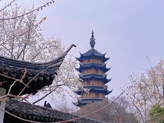 -红梅公园