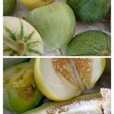 本溪你不宣传这个你糊涂啊