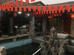 -八姑农庄·广府西江菜·云南野生菌