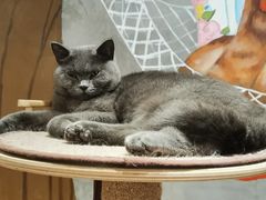 -么么咖啡(燕郊店)