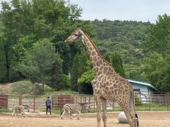 -大连森林动物园