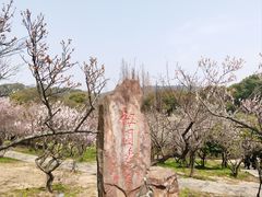 -无锡梅园公园