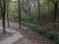 -云岗森林公园