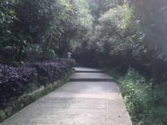 -巢湖姥山岛