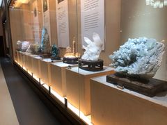 -抱璞文化展示中心