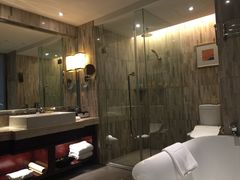 -常州环球恐龙城维景国际大酒店