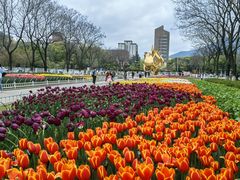 -玄武湖景区-情侣园游乐场