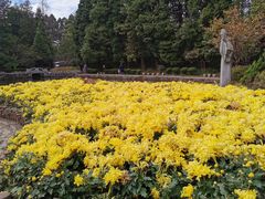-庐山风景区花径公园