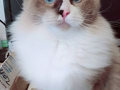 -苏州海洋馆