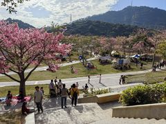 -风云岭森林公园