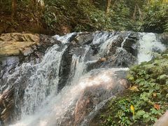 -莫里热带雨林景区