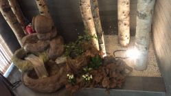 -至爱至信新中式SPA疗愈会所