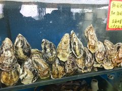 -蚝专家(北滘店)
