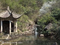 -大奇山国家森林公园