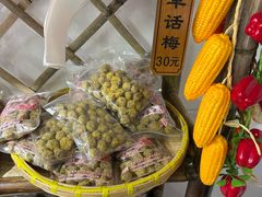 -苏州市吴中区光福窑上花果蜜饯厂